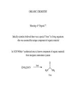 initially scientists believed there was a special