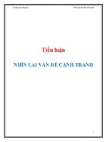 Tiểu luận: Nhìn lại vấn đề cạnh tranh