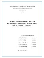 khảo sát thành phần hóa học của địa y lobaria pulmonaria (lobariacea) thu hái ở tỉnh lâm đồng