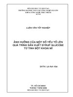 Luận văn tốt nghiệp: Ảnh hưởng của của một số yếu tố lên quá trình sản xuất Syrup glucose từ tinh bột khoai mì