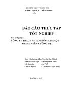 báo cáo thực tập công ty tnhh 1 thành viên cường đạt