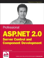professional asp.net 2.0 server control and component development