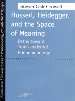 northwestern university press husserl heidegger and the space of meaning paths toward trancendental phenomenology apr 2001