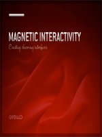 Magnetic Interactivity: Creating charming interface