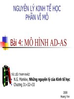 Mô hình AD- AS