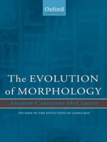 the evolution of morphology feb 2010