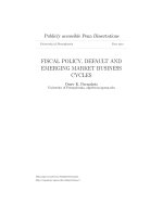 Fiscal policy, default and emerging market business cycles