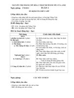 Giáo án chuẩn Lớp 1 cả năm