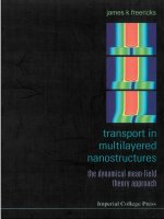 transport in multilayered nanostructures. the dynamical mean-field theory approach, 2006, p.343