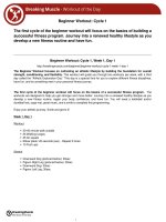 Các bài tập tăng cơ, lịch tập cho người mới tập không sử dụng thiết bị bằng tiếng anh