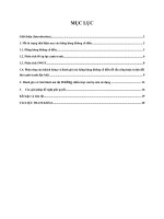 Hàng không cổ điển trạng thái hiện nay của hãng hàng không cổ điển, phân tích 05 áp lực cạnh tranh, phân tích SWOT