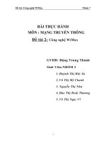 Đề tài công nghệ Wimax