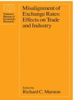 university of chicago press misalignment of exchange rates effects on trade and industry jun 1988
