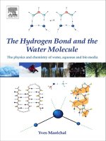 the hydrogen bond and the water molecule - y. marechal (elsevier, 2007) ww