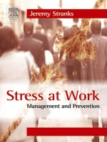 stress at work management and prevention 2005