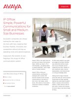 avaya ip office customer brochure