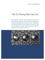 Chế Tài thương mại toàn cầu