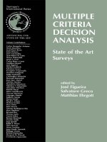 multiple criteria optimization state of the art annotated bibliographic surveys (international series in operations research & management science)