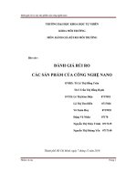 đánh giá rủi ro các sản phẩm của công nghệ nano