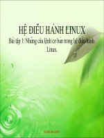 HỆ điều HÀNH LINUX