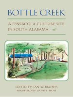  bottle creek a pensacola culture site in south alabama mar 2003