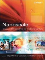 nanoscale. issues and perspectives for the nano century, 2007, p.474
