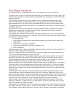 price shapes satisfaction