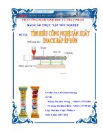 Báo cáo tốt nghiệp: Tìm hiểu về công nghệ sản xuất Snack bắp ép đùn