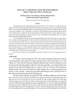 Chọn lọc cá thể bò đực giống holstein friesian nhập từ hoa kỳ nuôi tại moncada