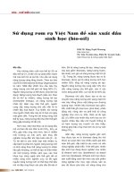 nhiệt phân rơm rạ