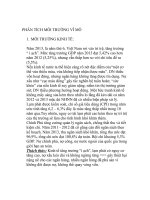 PHÂN TÍCH môi TRƯỜNG vĩ mô