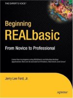 beginning realbasic from novice to professional