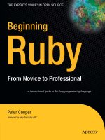beginning ruby from novice to professional