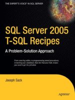 sql server 2005 t-sql recipes a problem-solution approach