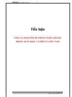 Tiểu luận: Công cụ phái sinh để phòng ngừa rủi ro trong xuất khẩu cà phê của Việt Nam