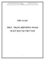 Tiểu luận: Thực trạng hợp đồng kỳ hạn tại Việt Nam