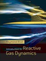 introduction to reactive gas dynamics apr 2009