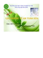đề tài các vấn đề về an toàn sữa