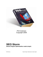 SEOs Storm Search Engine Optimisation made simple