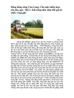Đồng bằng sông cửu long cần một chiến lược cho lúa, gạo   bài 1 khi nông dân chân đất giã từ chiếc vòng gặt