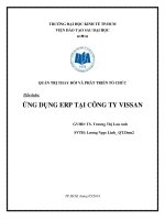Tiểu luận Quản trị thay đổi và phát triển tổ chức: Ứng dụng ERP tại công ty Vissan