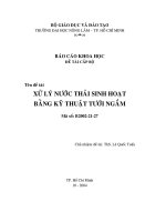 đề tài xử lý nước thải sinh hoạt bằng kỹ thuật tưới ngầm