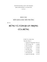 ĐỀ TÀI: RỪNG VÀ TẦM QUAN TRỌNG CỦA RỪNG