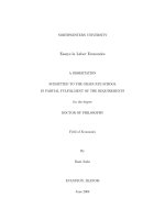 essays in labor economics