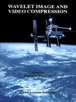 pankaj n. topiwala  -  wavelet image and video compression