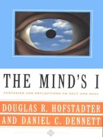 hofstadter, dennett - the mind's i