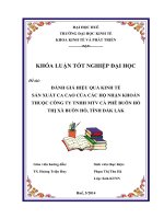 đánh giá hiệu quả kinh tế sản xuất ca cao của các hộ nhận khoán thuộc công ty tnhh mtv cà phê buôn hồ, thị xã buôn hồ, tỉnh đắk lắk