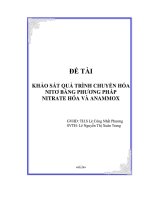 khảo sát quá trình chuyển hóa nitơ bằng phương pháp nitrate hóa và anammox