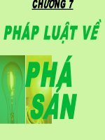 Pháp luật về phá sản