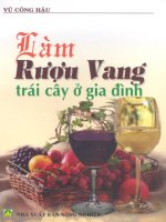 LÀM RƯỢU VANG TRÁI CÂY Ở GIA ĐÌNH